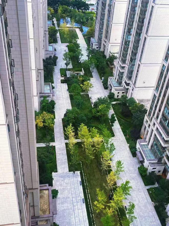 网友反映：龙悦华府业主私自拆墙开门并违规搭建顶棚→
